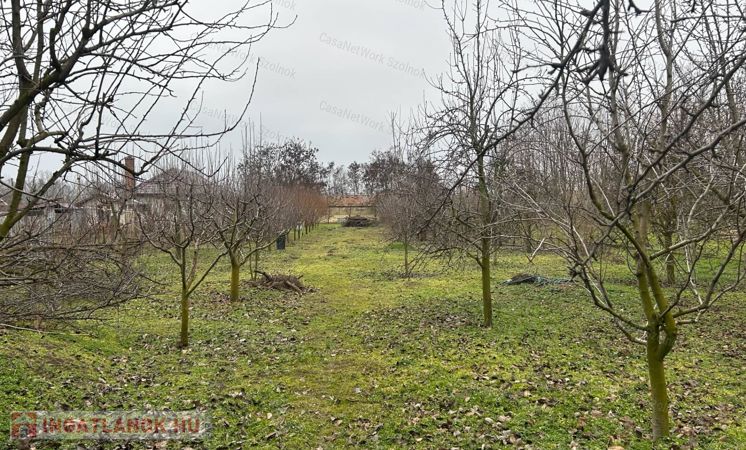 Cibakházán eladó kertes családi ház gyümölcsössel