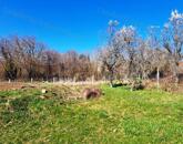 VÍZPARTTÓL 300 méterre eladó ÉPÍTÉSI TELEK PÁLKÖVÉN