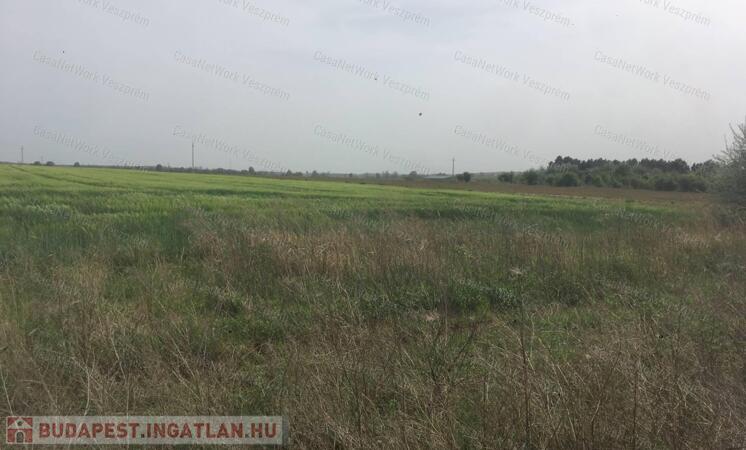 Értékes iparterület                                 