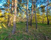Eladó telek/földterület Papkeszi 1 900 000 Ft