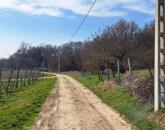 PANORÁMÁS SZŐLŐ A NIVEGY-VÖLGY SZÍVÉBEN - SZENTJAKABFÁN