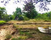 Tájvédelmi zöldövezet közelében építési telek