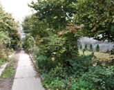 Eladó családi ház Vaskút 16 000 000 Ft