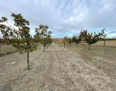 Eladó telek/földterület Péteri 11 000 000 Ft