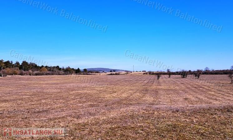 Gazdálkodásra, állattartásra alkalmas mezőgazdasági terület Barnagon