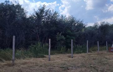 Eladó telek/földterület