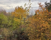 Eladó üdülő/nyaraló Dunaalmás 35 500 000 Ft