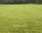 Eladó családi ház Kajászó 125 000 000 Ft