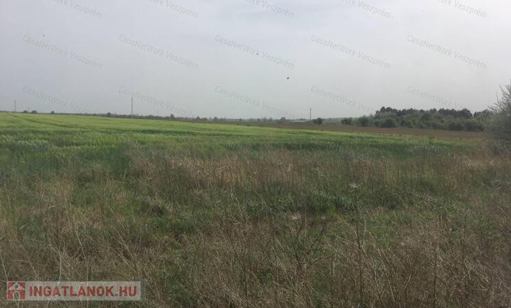 Értékes iparterület