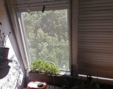 Eladó lakás Pécs 44 900 000 Ft