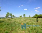 Eladó telek/földterület Telki 490 000 000 Ft