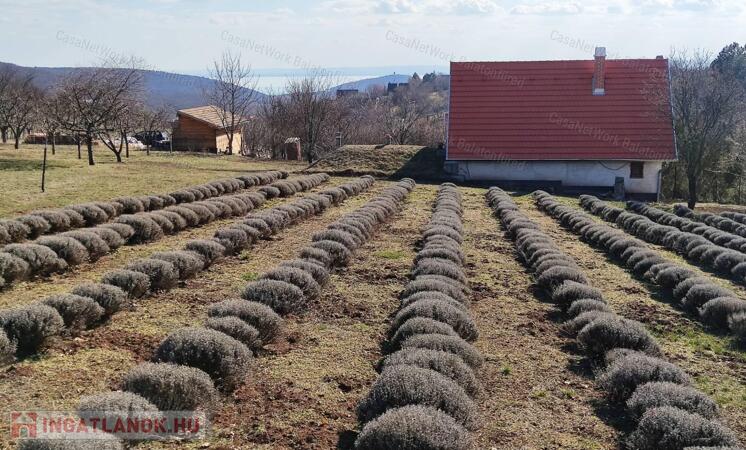 HÁZ BALATONI PANORÁMÁVAL, FELSŐÖRSÖN A TERMÉSZET OLDALÁN