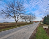 Eladó telek/földterület Kémes 1 290 000 Ft