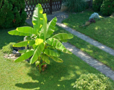 Eladó családi ház Zalaegerszeg 83 000 000 Ft