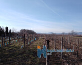 Eladó telek/földterület Gyöngyös 11 500 000 Ft