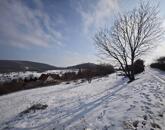 Panorámás zártkert Felsőörsön