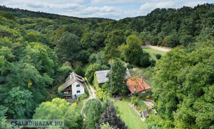 Ősfás birtok saját patakkal az erdő, a Nemzeti Park közepén                                 