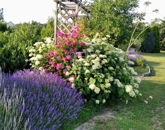 Eladó családi ház Kulcs 95 000 000 Ft