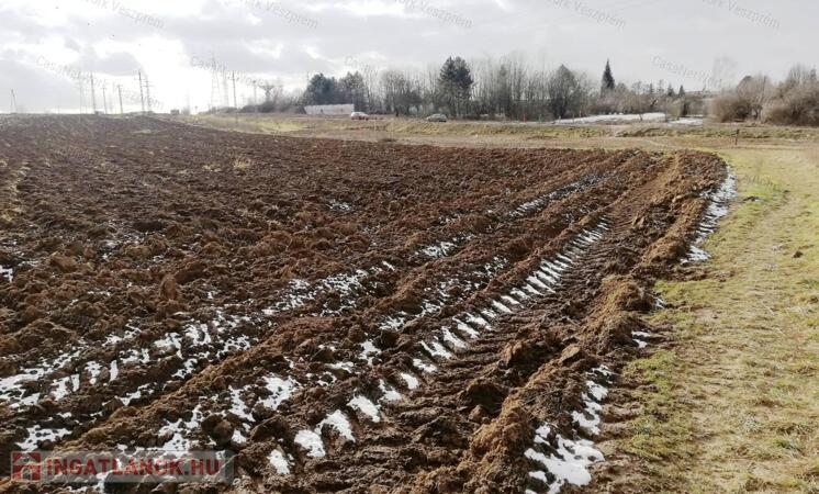 Belterületi szántó eladó, Veszprémben
