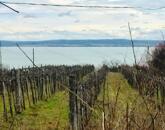 Örök Balaton Panorámája
