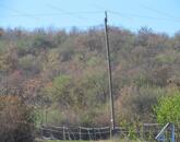 Szőlőültetvény a Belső-tó közelében