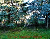 Eladó családi ház Gyula 44 000 000 Ft