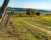 Eladó örök panorámás terület Óbudaváron! 2,3ha!