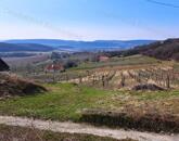 ÉPÍTHETŐ, TÁJPANORÁMÁS MEZŐGAZDASÁGI TERÜLET BALATONCSICSÓN