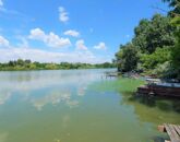 Eladó ipari ingatlan Kiskunlacháza 165 000 000 Ft