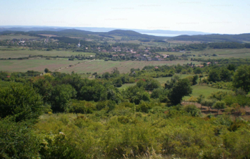 Eladó telek/földterület