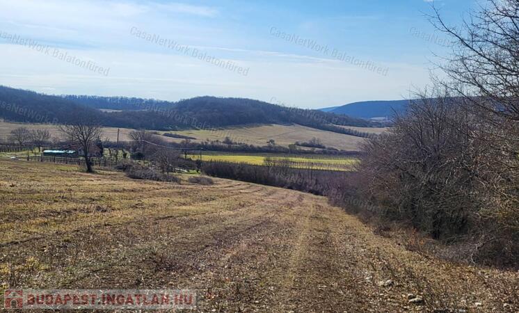 Táj-Panorámás beépíthető szőlős telek ELADÓ                                 