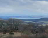 Eladó telek/földterület Pécsely 99 900 000 Ft