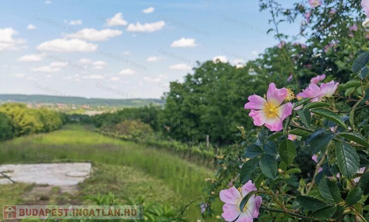 Eladó telek a Virágvölgyben                                 