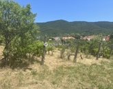 Eladó telek/földterület Kővágószőlős 15 000 000 Ft