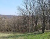 Eladó telek/földterület Piliscsaba 69 000 000 Ft