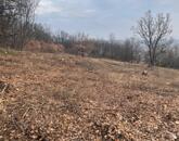 Balatonszőlősön panorámás telek eladó