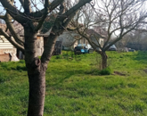 Eladó családi ház Berhida 28 000 000 Ft