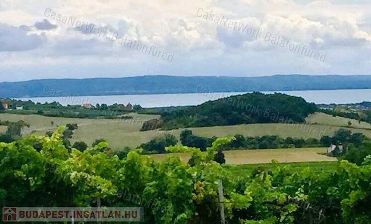 Balatoni panorámás -Szőlős kert                                 
