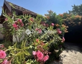 Eladó családi ház Pécs 80 000 000 Ft