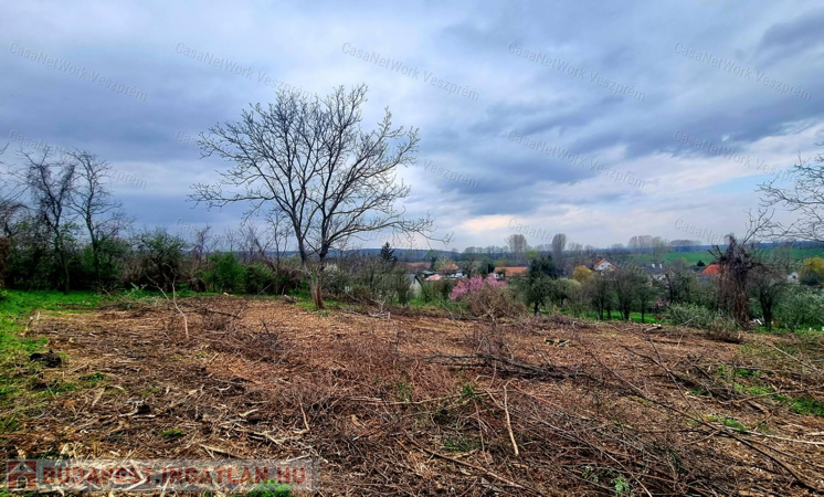 NAGYMÉRETŰ BELTERÜLETI ÉPÍTÉSI TELEK!                                 