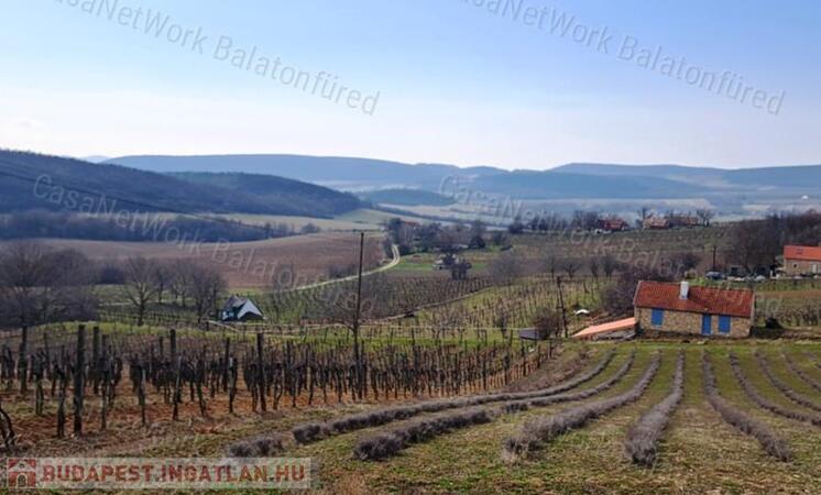 ÉPÍTHETŐ, TÁJPANORÁMÁS MEZŐGAZDASÁGI TERÜLET BALATONCSICSÓN                                 