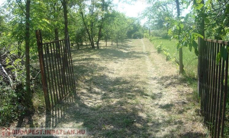 Eladó 2500 nm-es zártkert Szomód külterületi részén!                                 