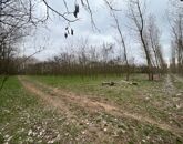 Eladó telek/földterület Dánszentmiklós 58 000 000 Ft