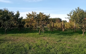 Eladó üdülő/nyaraló