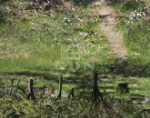 Eladó telek/földterület Biatorbágy 12 900 000 Ft