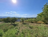 Eladó telek/földterület Vác 100 000 000 Ft