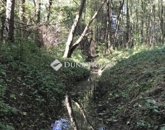 Eladó telek/földterület Bagod 12 490 000 Ft