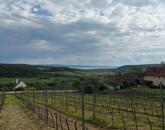 Eladó ÖRÖK PANORÁMÁS zártkert Óbudaváron! 3989nm!