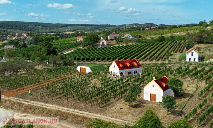 Örök Panorámás  pince - présház  Érvényes építési engedéllyel