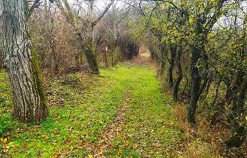 Eladó telek/földterület